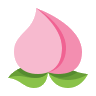 佛山QM