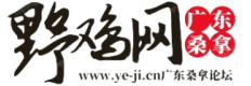 尾部导航栏的LOGO